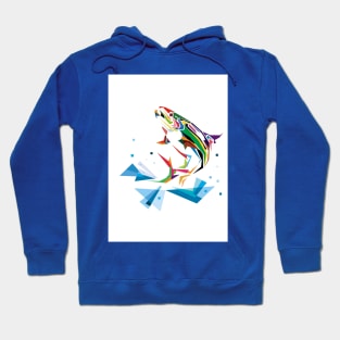 colorfull fish Hoodie